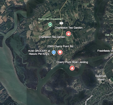 2560 Cherry Point Rd, Wadmalaw Island, SC 29487 - photo 6