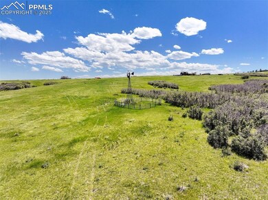 6410 Lake Gulch Rd, Castle Rock, CO 80104 - photo 4