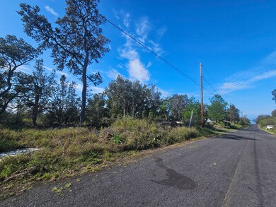 0 Coral Pkwy unit 724318, Ocean View, HI 96737 - photo 6