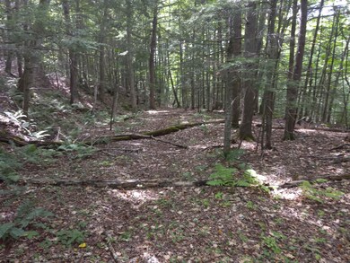 000 Wheeler Rand Rd, Charlestown, NH 03603 - photo 7