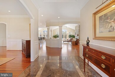 1131 Alexandria Ave, Alexandria, VA 22308 - photo 7