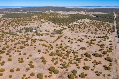 755 Juan Tomas Rd, Tijeras, NM 87059 - photo 6