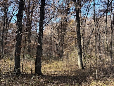 51500 River Rd, Milan, MO 63556 - photo 2