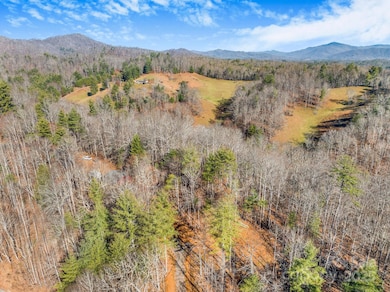 148 Fish Pond Ln, Burnsville, NC 28714 - photo 3