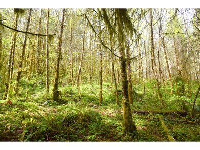 0 Slide Creek Rd unit 20124249, Longview, WA 98632 - photo 6