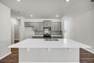 317 Babcock Way, Gilbert, SC 29054 - photo 6