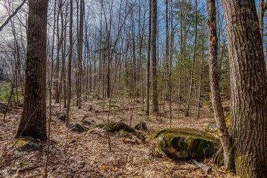 0 Spruce unit Lot 9 4948918, Wolfeboro, NH 03894 - photo 3