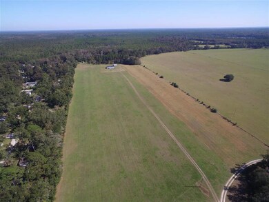 141 Graham Trail, Crawfordville, FL 32327 - photo 3