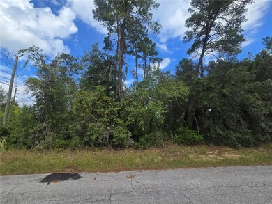 3008 Clearwood St, Inverness, FL 34452 - photo 2