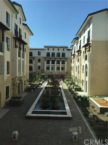 Beautiful Courtyard with Koi ponds