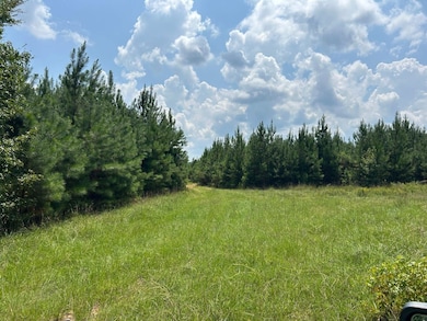 162 Tuggle Rd, Eatonton, GA 31024 - photo 3