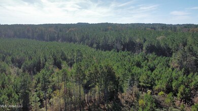 dji_fly_20221109_112326_325_166801461919