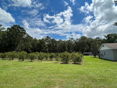 840 W Main St, Uvalda, GA 30473 - photo 5