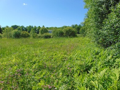 0 Goldfoot Rd unit 202020016, Glenville Tov, NY 12302 - photo 5