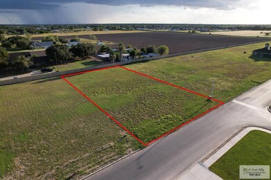 905 Daniel Ln, Weslaco, TX 78599 - photo 3