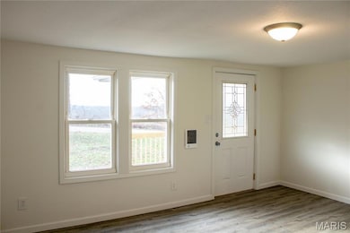 386 Birds Nest Rd, Steelville, MO 65565 - photo 6