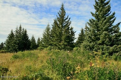 Alive with vegetation