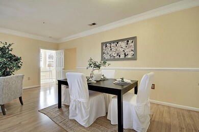 IMG_2648_IMG_2660-copy