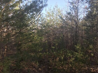 thumbnail_IMG_3395