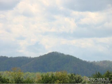 44 Frank Lawson Ln, Leicester, NC 28748 - photo 4