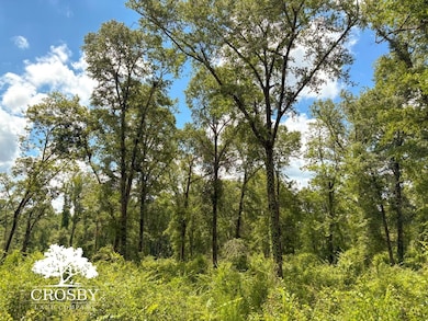 0 Hollow Creek Farm Rd, Aiken, SC 29803 - photo 4