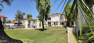 Front & Side Yard (6)