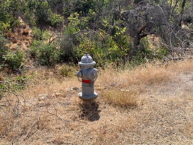 Swasey Fire hydrant