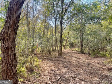 0 Buffalo Creek Rd unit 10624169, Carrollton, GA 30117 - photo 4