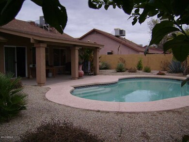 Back Pool