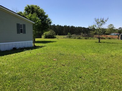 17063 Ga Highway 33, Pavo, GA 31778 - photo 4