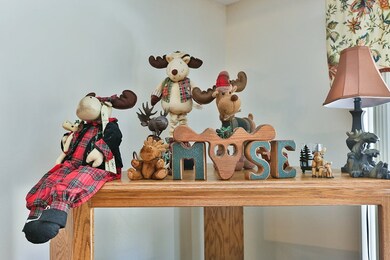 Carousel Image