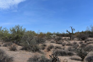 SONORAN DESERT