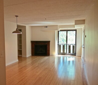 44 Concord Ave unit 303, Cambridge, MA 02138 - photo 5