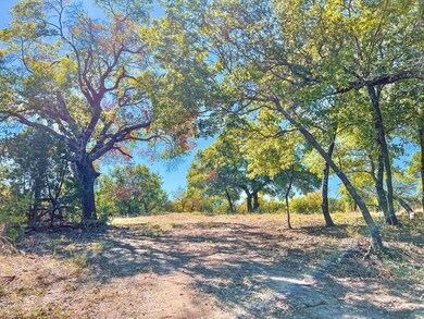 1016 Alicia Ct, Weatherford, TX 76087 - photo 6