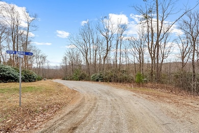 Lot 23 W Pheasant Chase, Ararat, VA 24053 - photo 5