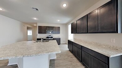 Kitchen with a kitchen island with sink, light wood-type flooring, dark brown cabinets, healthy amount of natural light, and recessed lighting
