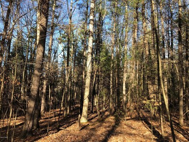 Lot 536 Timber Ridge Dr, Lackawaxen Township, PA 18428 - photo 6