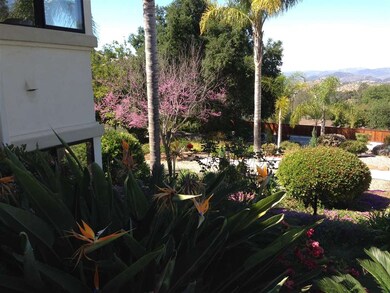 Another view of side yard in bloom
