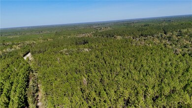 0 Antioch Cemetery Rd, Folkston, GA 31537 - photo 2