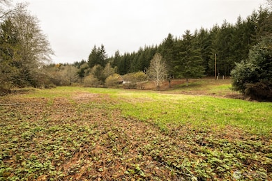 763 Geissler Rd, Montesano, WA 98563 - photo 2