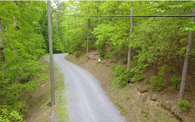 Additional View