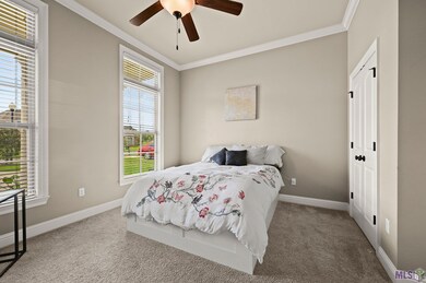 3390 Meadow Grove Ave, Zachary, LA 70791 - photo 7