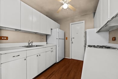 Lakeshore Drive Condo unit 4K, Chicago, IL 60657 - photo 7