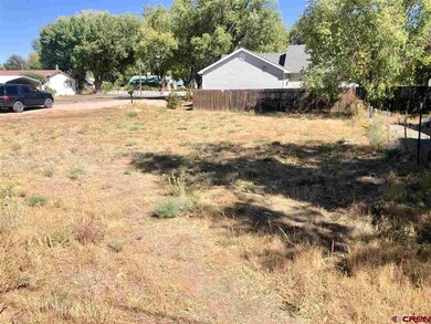 710 N Mildred Rd, Cortez, CO 81321 - photo 5