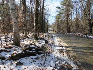 1843 Pennel Hill Rd, Halifax, VT 05358 - photo 6