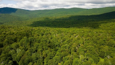 00 Albin Hill Rd, Braintree, VT 05060 - photo 4