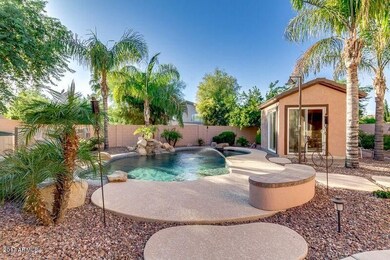 Backyard 2