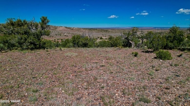 0 Co Rd 5062 Lot 1 3 53 Acres, Concho, AZ 85924 - photo 4