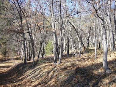 0 20 Acres Scarface Rd, Gazelle, CA 96034 - photo 6