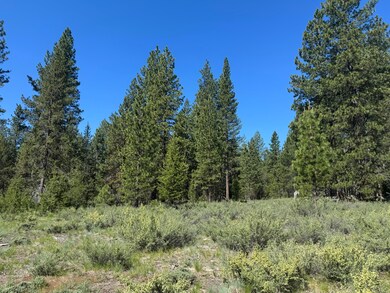 IMG_7171